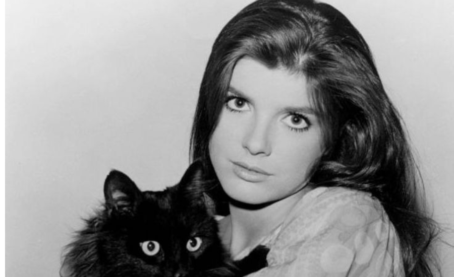 Katharine Ross Net Worth: Age, Height, Weight, Early Life, Lifestyle, Career & More